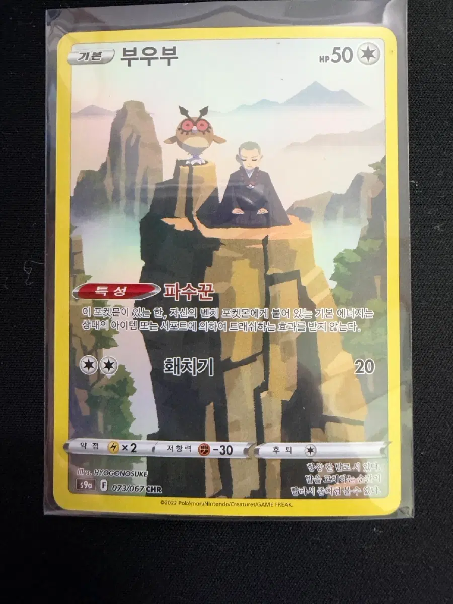 포켓몬카드 부우부 chr