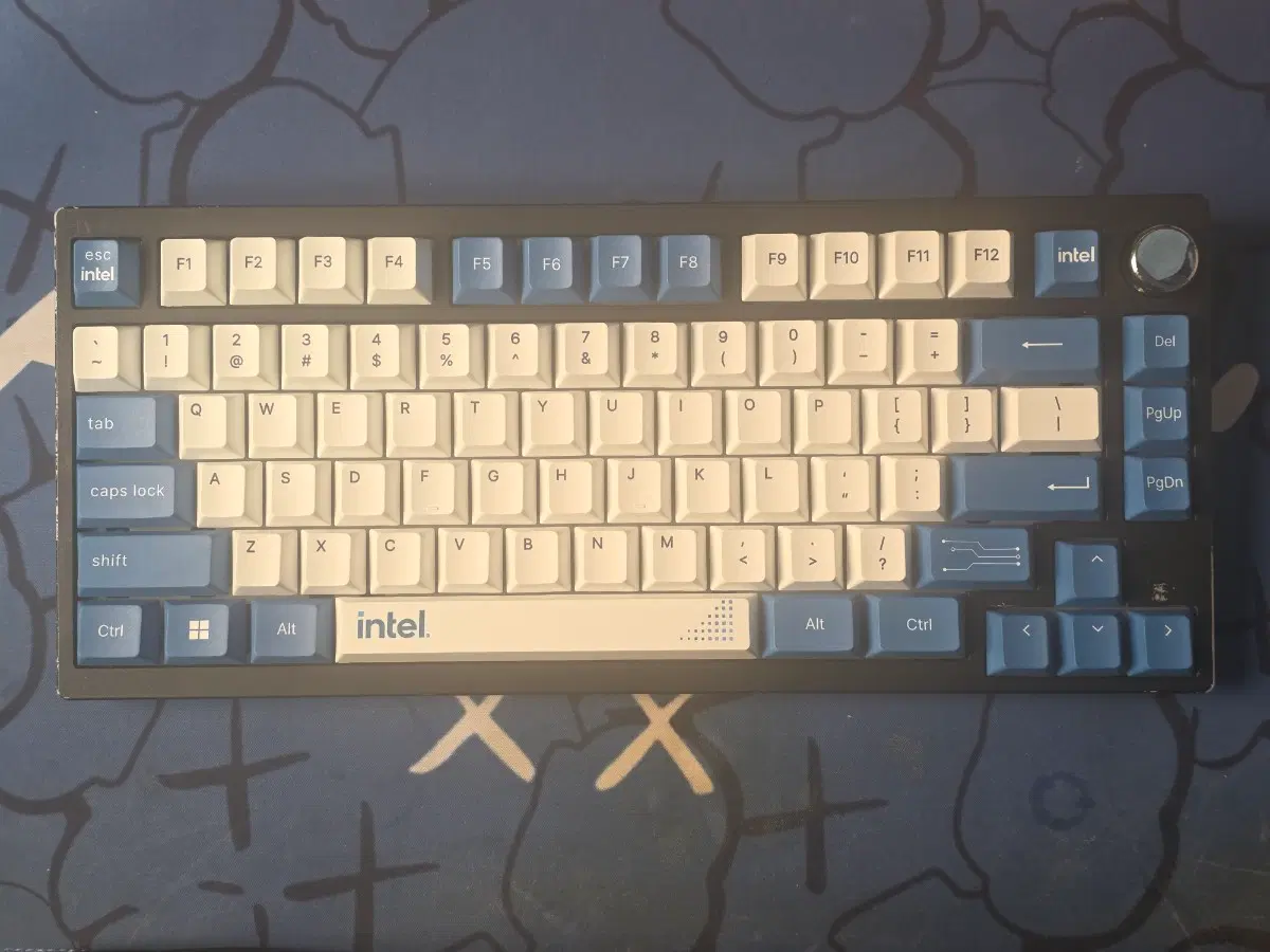 인텔 pbt 체리 프로파일 키캡