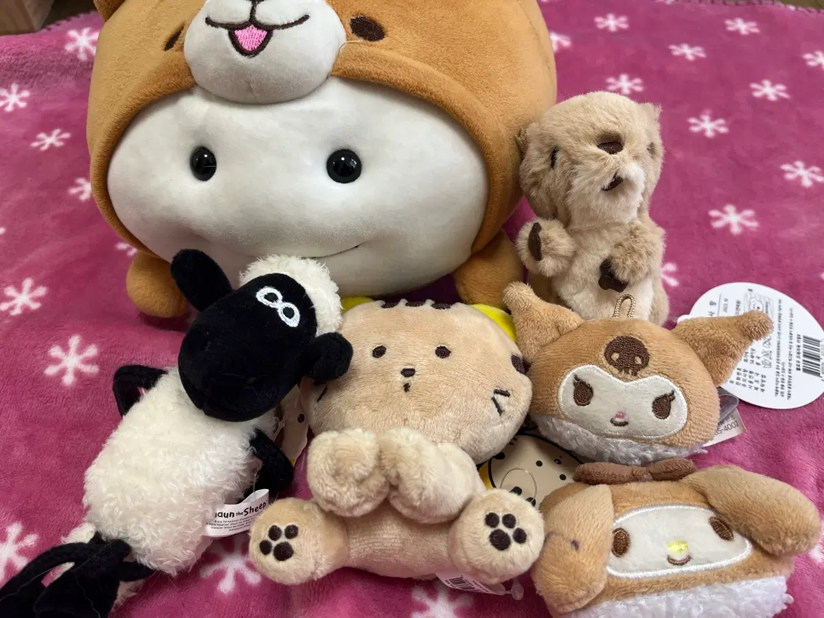 인형 일괄