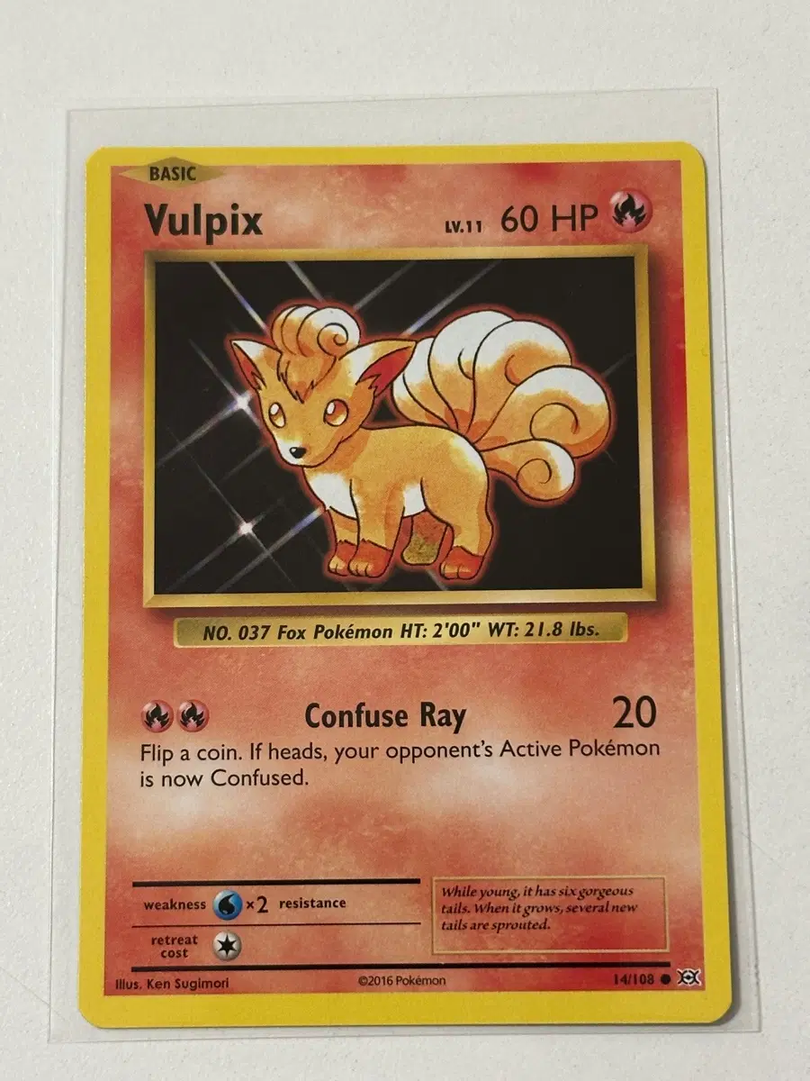 식스테일 14/108 북미 2016 XY 에볼루션 Evolutions 영판 올드백 포켓몬 카드 30주년
