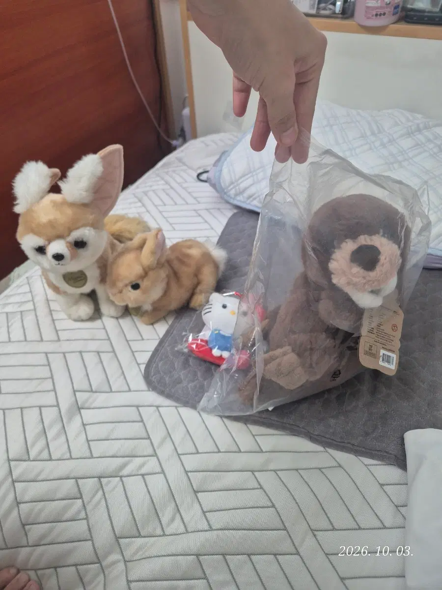 새제품 오로라 에코네이션2 바다코끼리 인형 미요니 사막여우, 갈색토끼 서핑키티 일괄판매