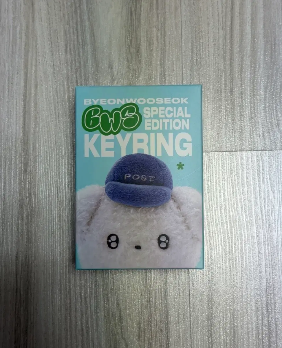 변우석 팬 키링
