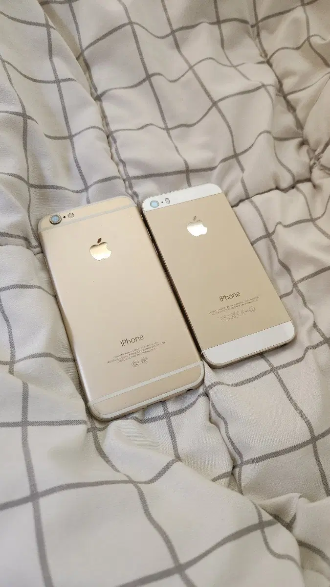 아이폰 5s 6 골드색상