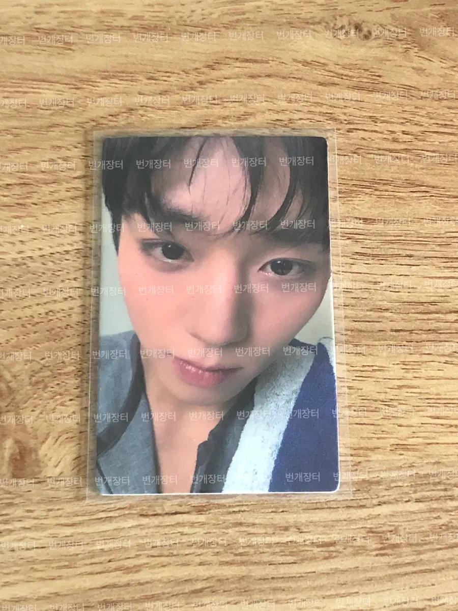 박지훈 시터 citer 포토카드 포카