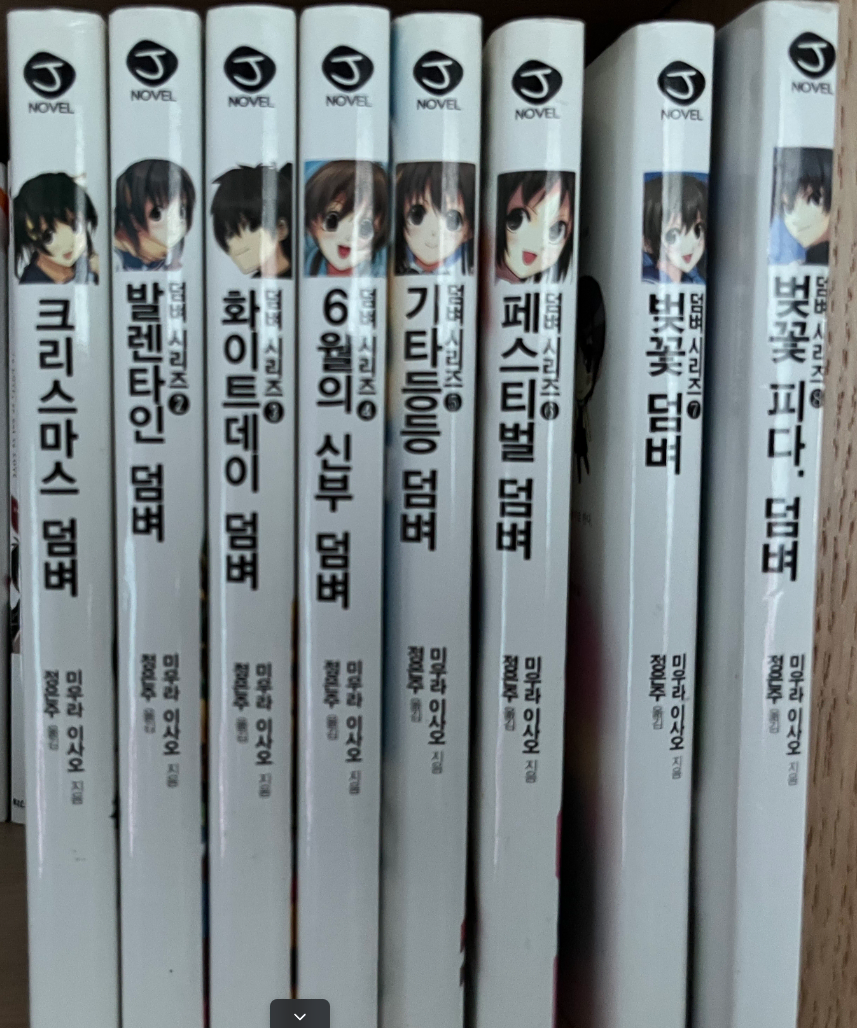라노벨 덤벼시리즈 1~8권