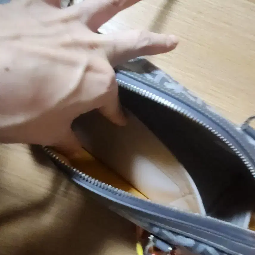 고야드 생루이백 봉보니에르백 사진 4