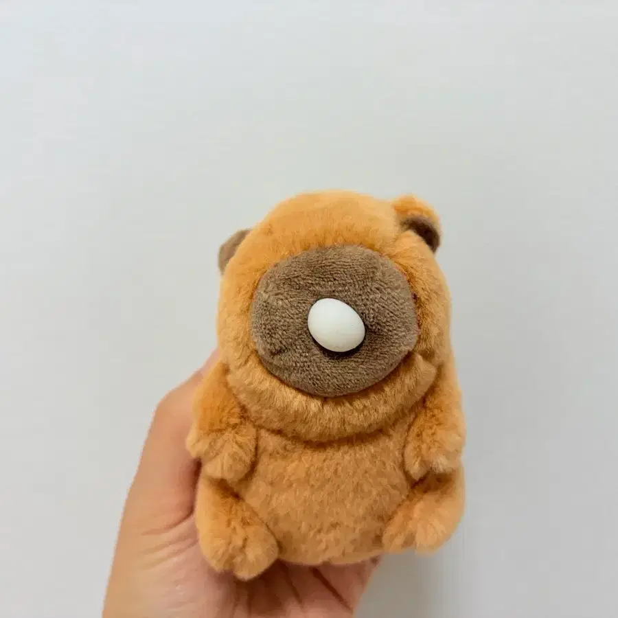 카피바라 키링 팝니다