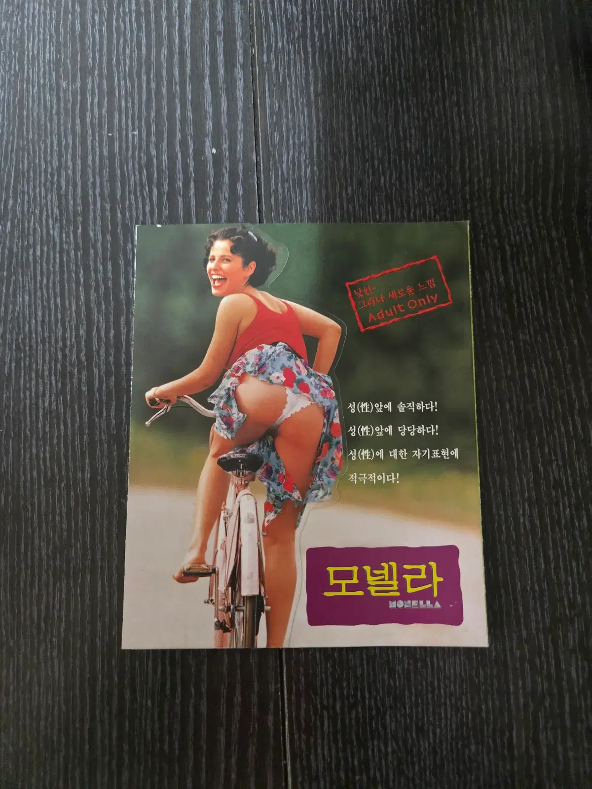 모넬라 / /영화전단지/영화자료/고전희귀