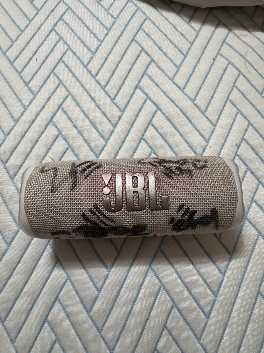 JBL 플립6 팜