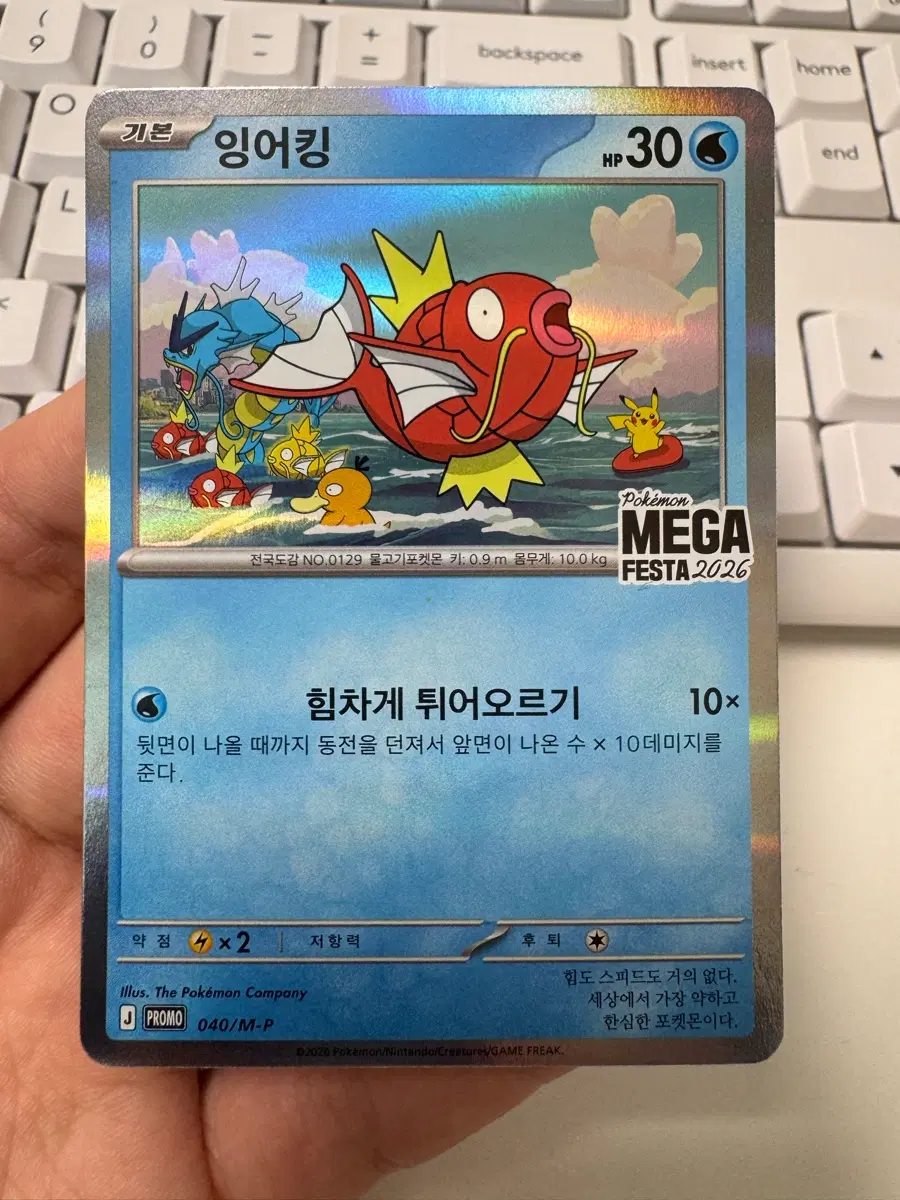 포켓몬카드 잉어킹 프로모 개봉품