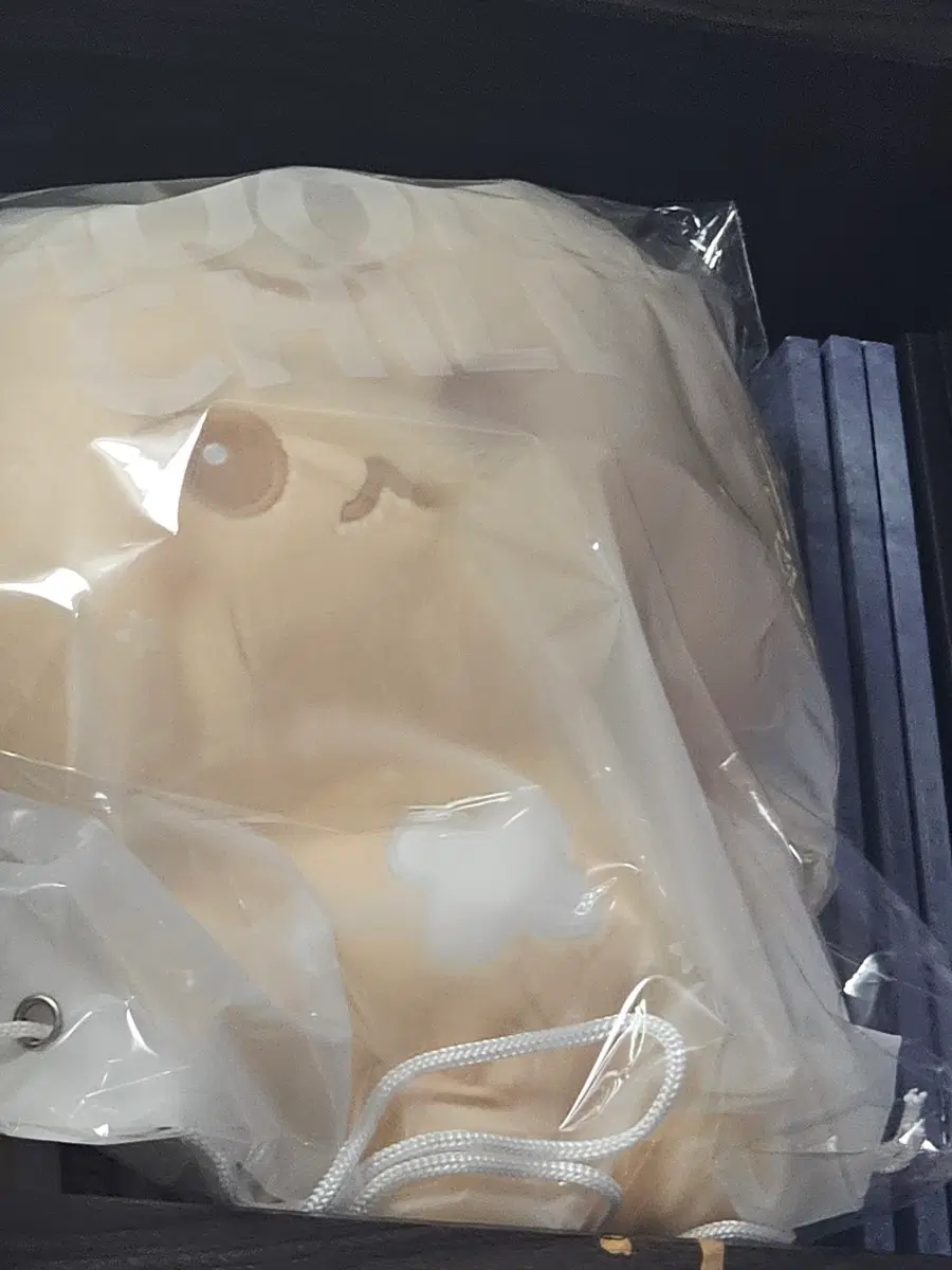 엔시티 127 도영 빅도궁 빅뭉칠 인형 도궁빵