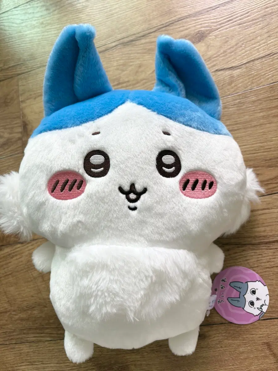치이카와 하치와레 평행세계 패러렐 월드 30cm 빅 인형 누이