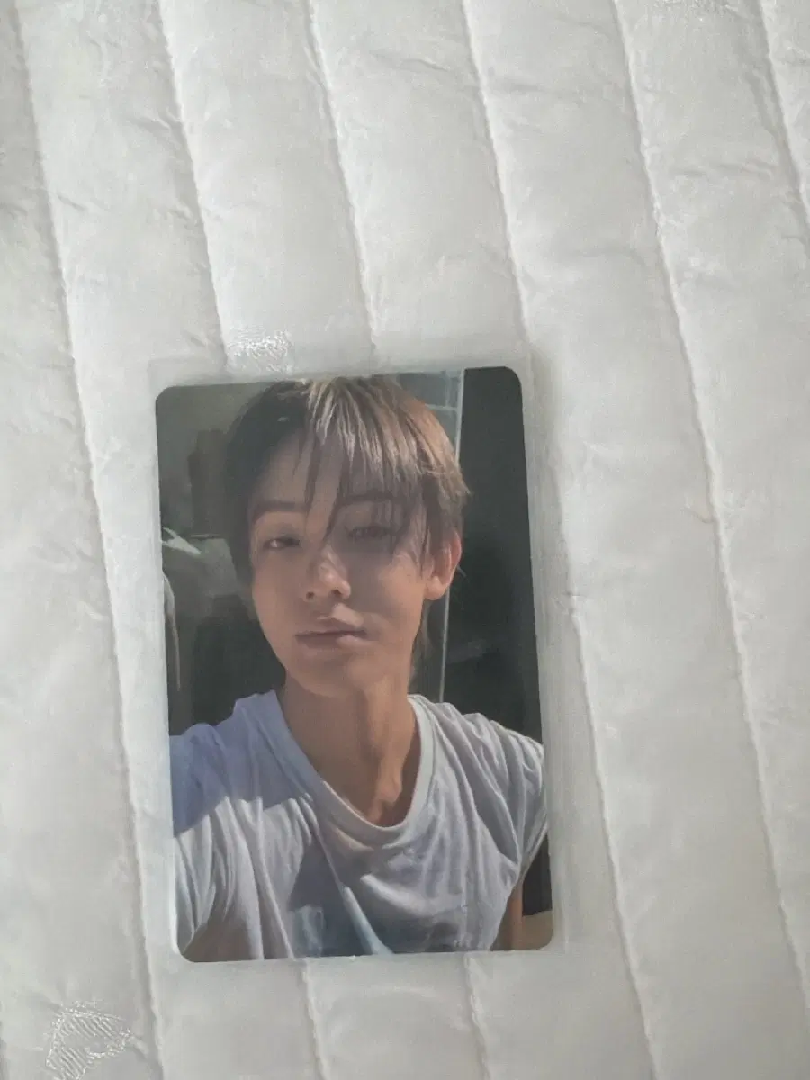코르티스 성현포카