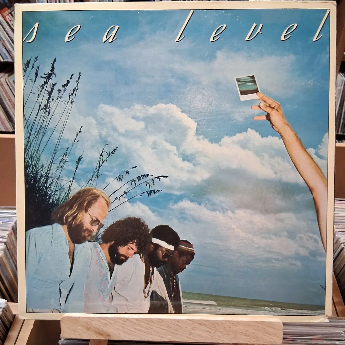 희귀 소장가치 Sea Level LP 할인