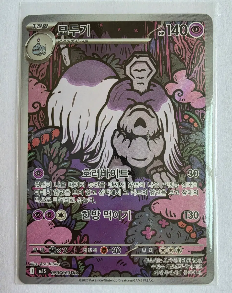 포켓몬 카드 묘두기 AR