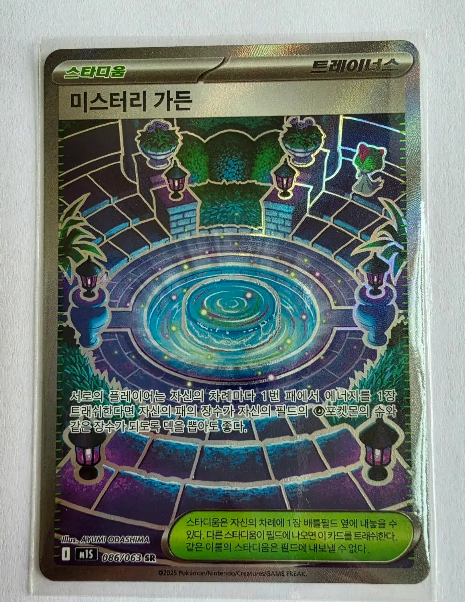 포켓몬 카드 미스터리 가든 SR
