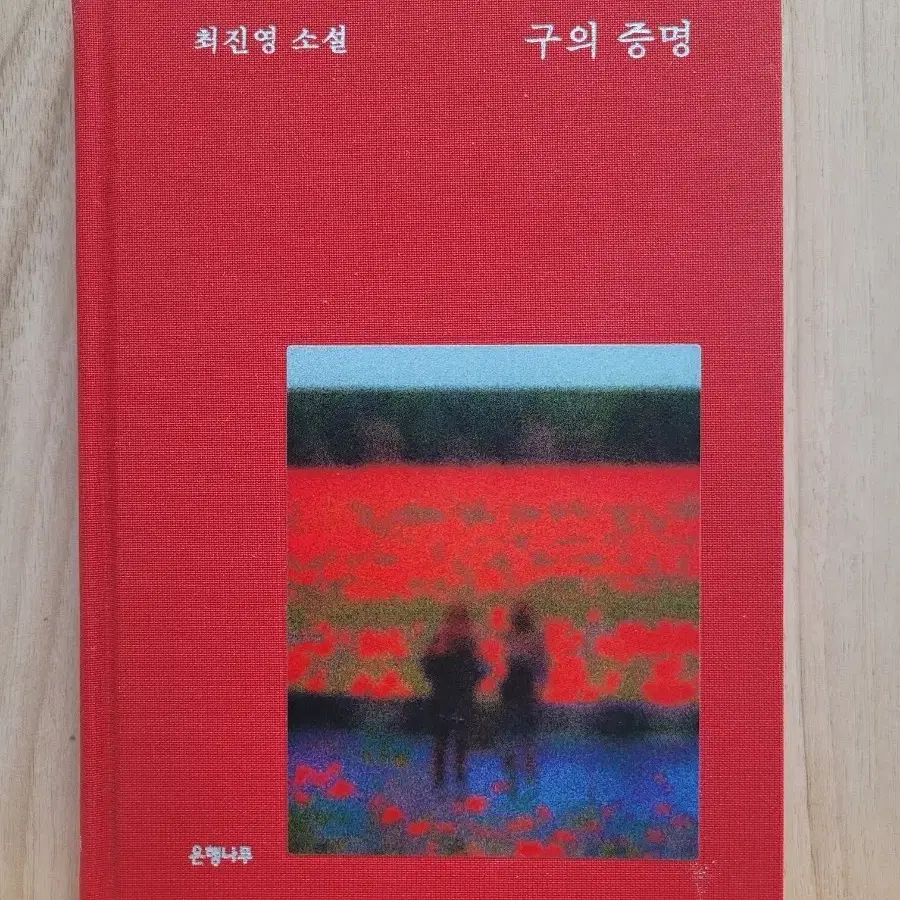 최진영 소설 구의 증명