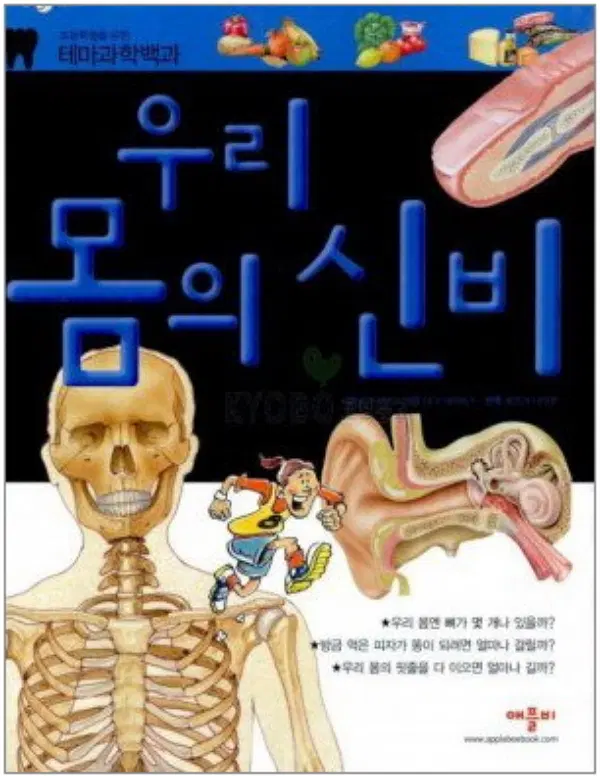 우리 몸의 신비 /상태(중)/애플비