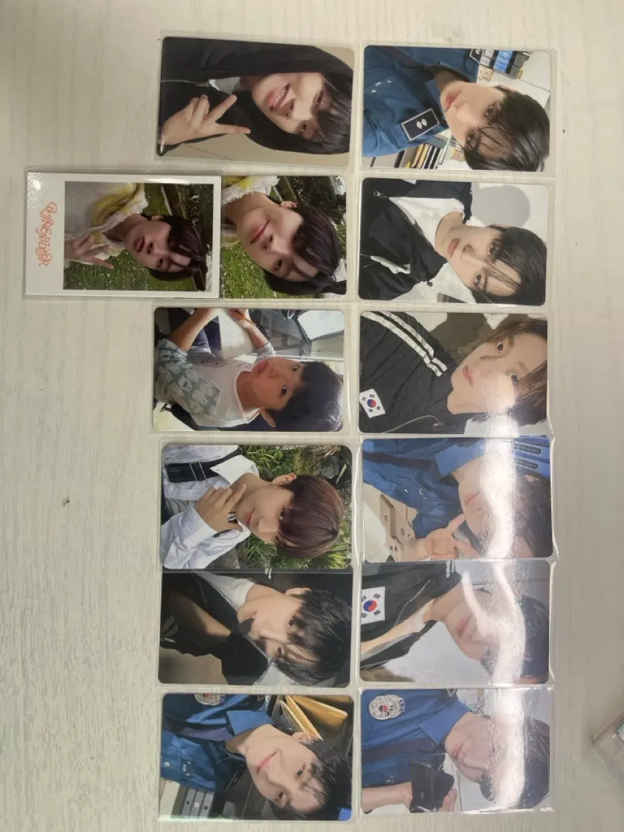 보넥도 포카