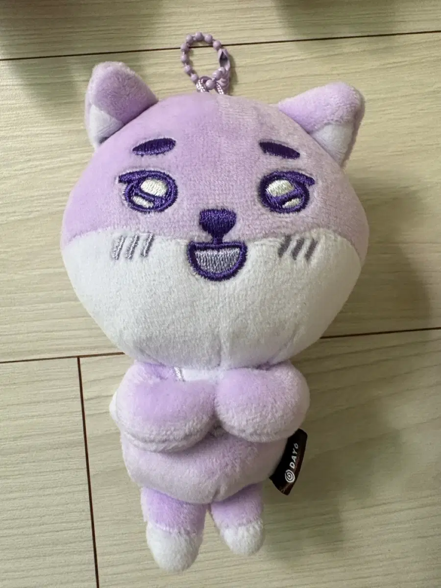 데이식스 피날레 시크릿 데니멀즈 퍼플 케 보라 케 영케이