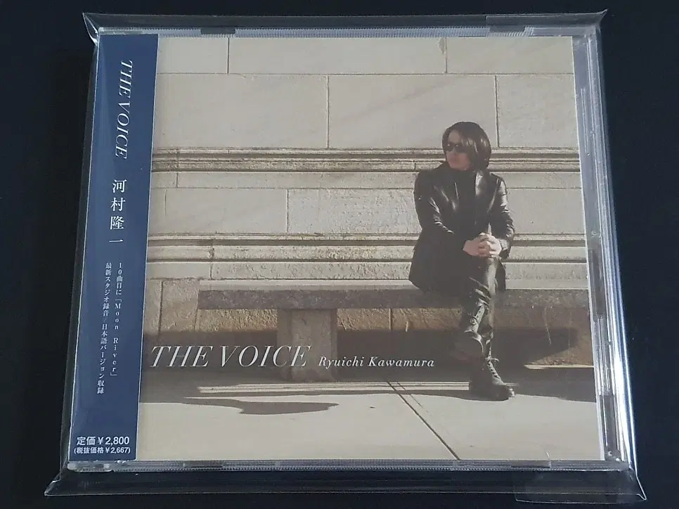 카와무라류이치 솔로 앨범 THE VOICE 커버 음반 루나씨