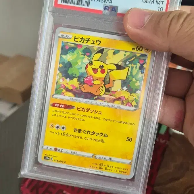 포켓몬스터 카드 피카츄 PSA 10