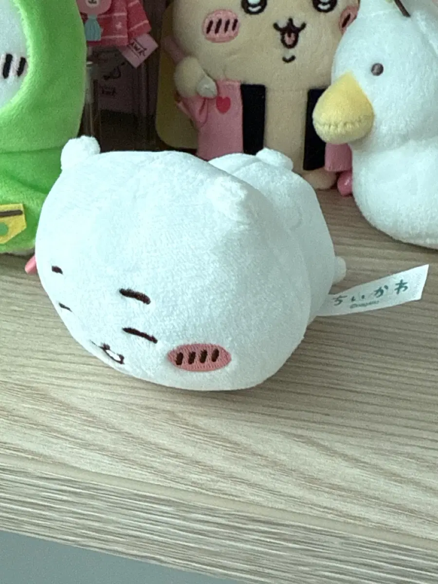 누운누이 치이카와