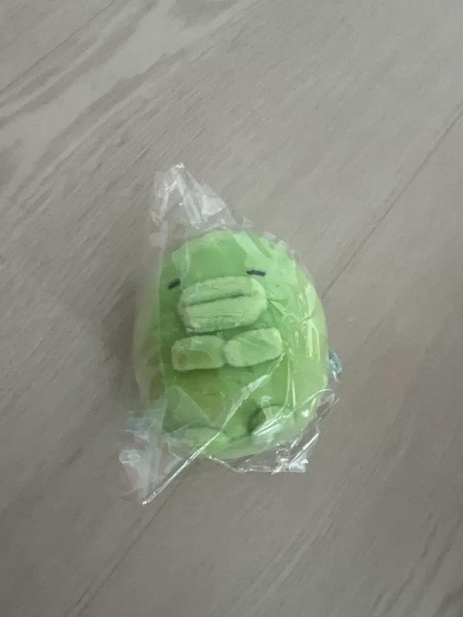 주댕치 푸리누이