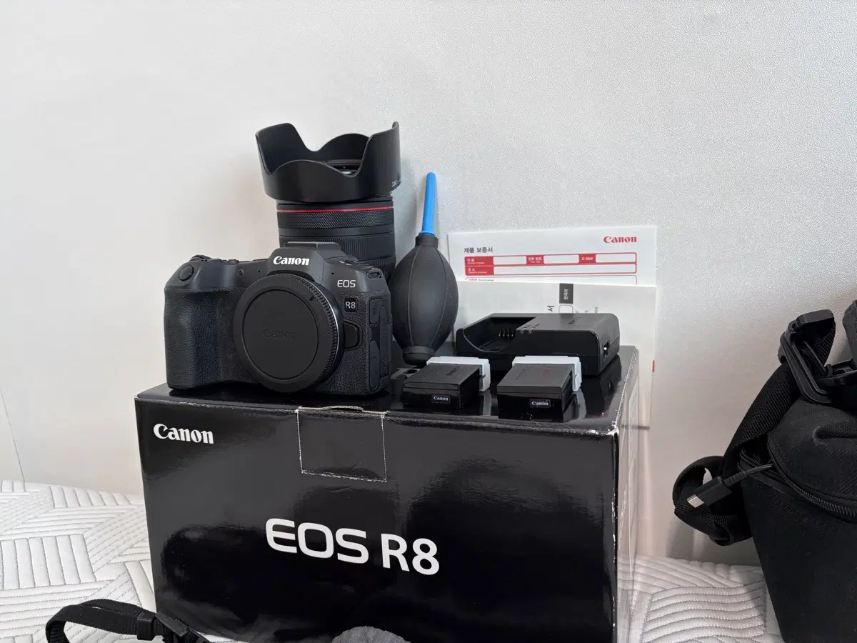 EOS R8, Rf 24-105 F4L (+작례)
