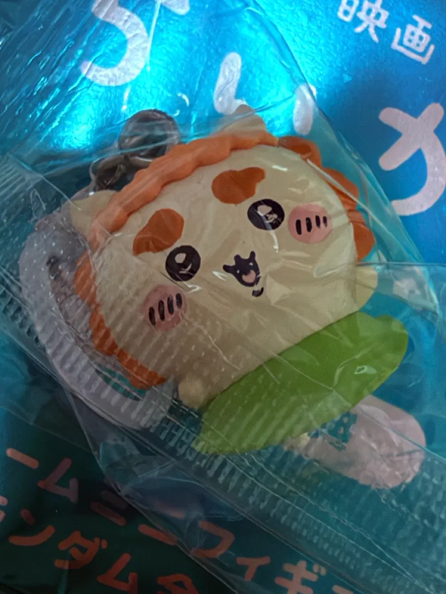 치이카와 메지루시 시사