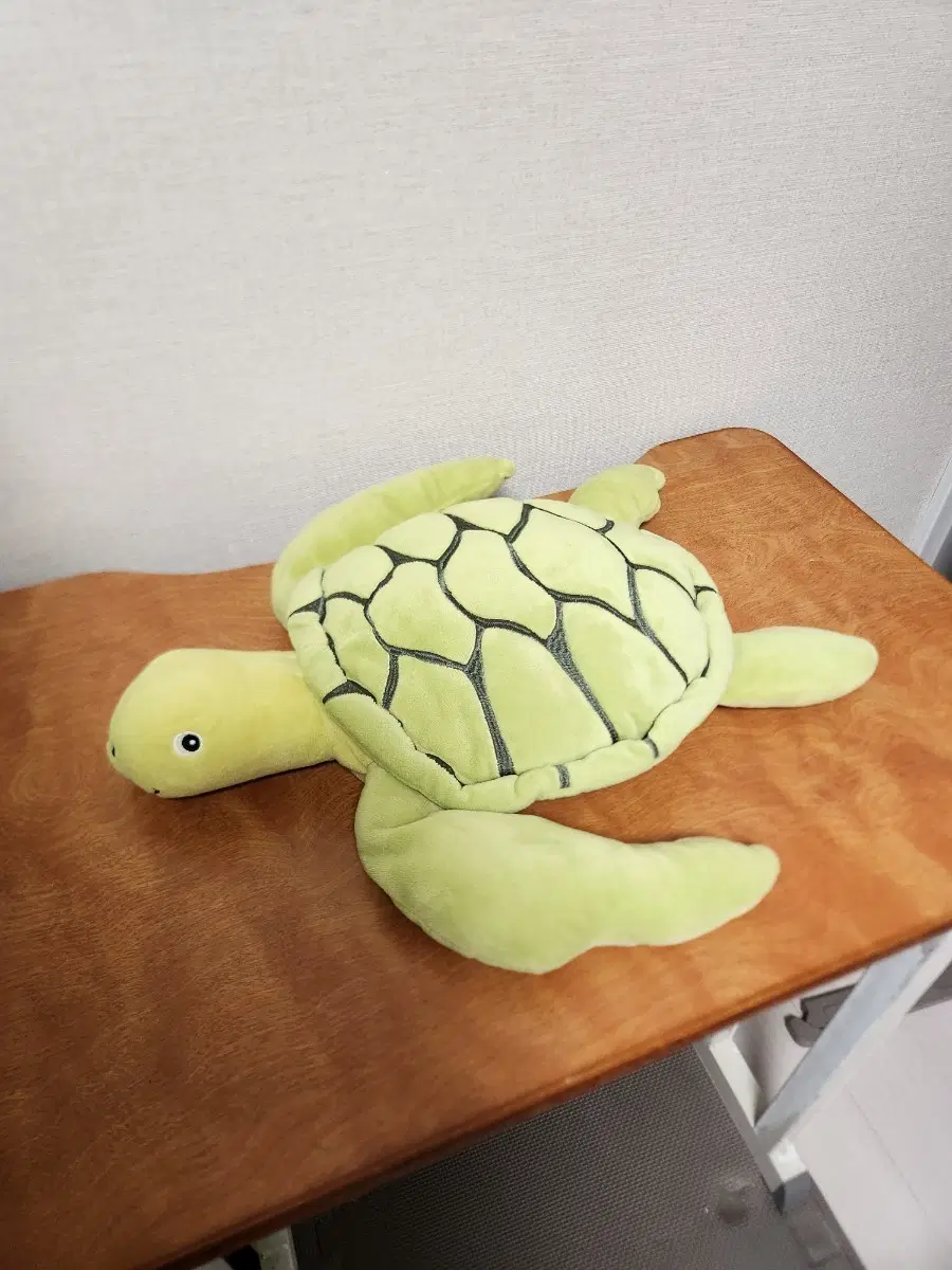 거북이 모찌 대형인형 40cm