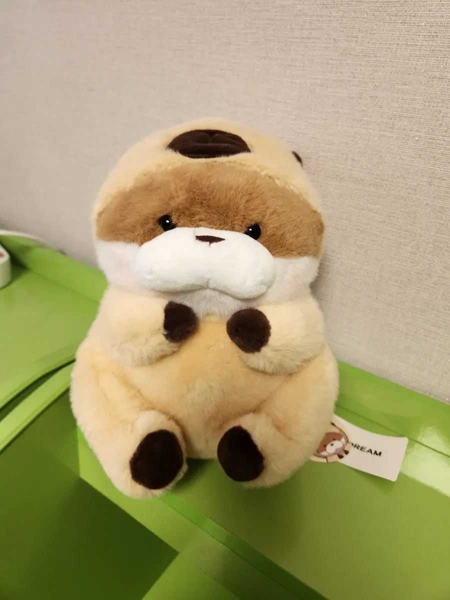우소우소짱 중형인형 텍있음