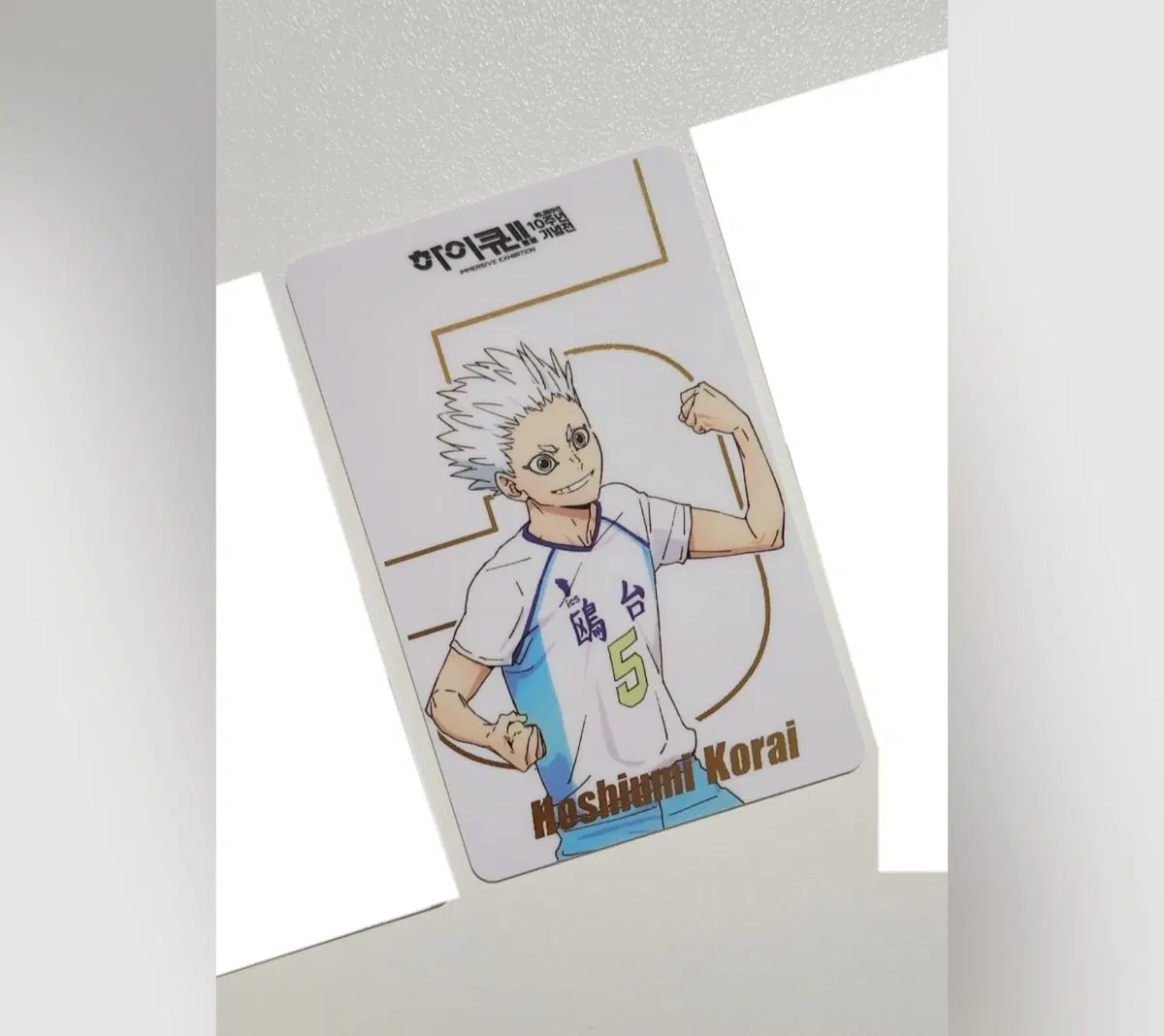 [개당] 하이큐 호시우미 전시회 럭키드로우 럭드 포토카드