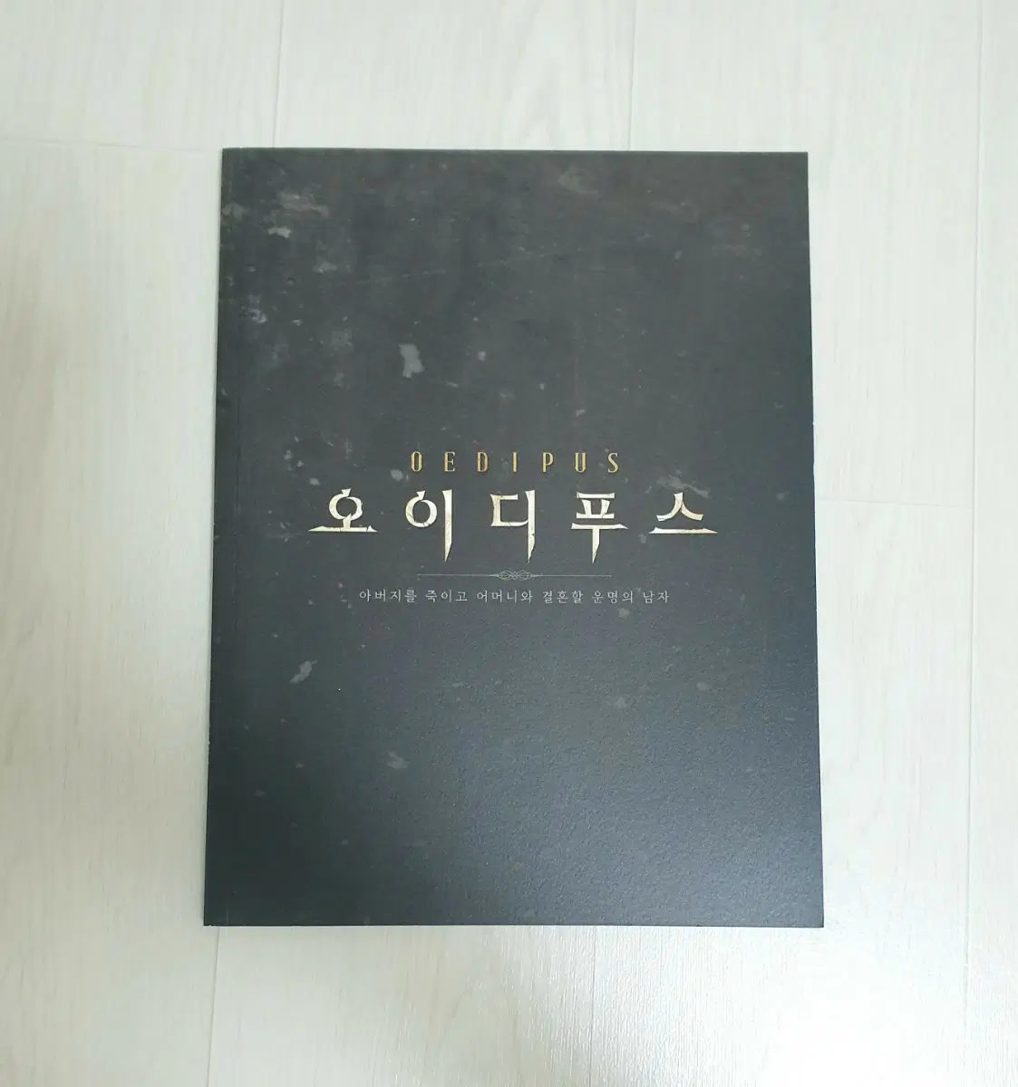 황정민 주연 2019 연극 오이디푸스 프로그램북 플북