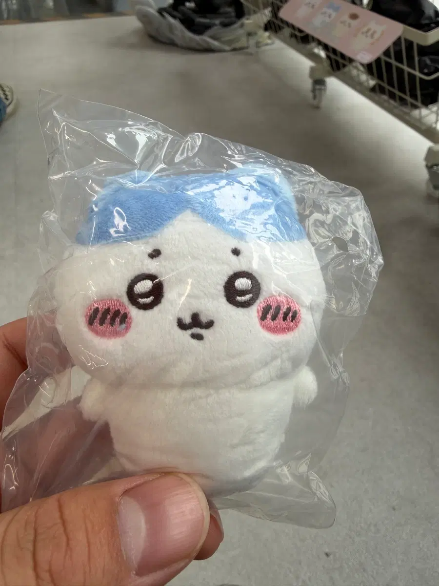앉은누이 1탄 하치와레 팔아요!