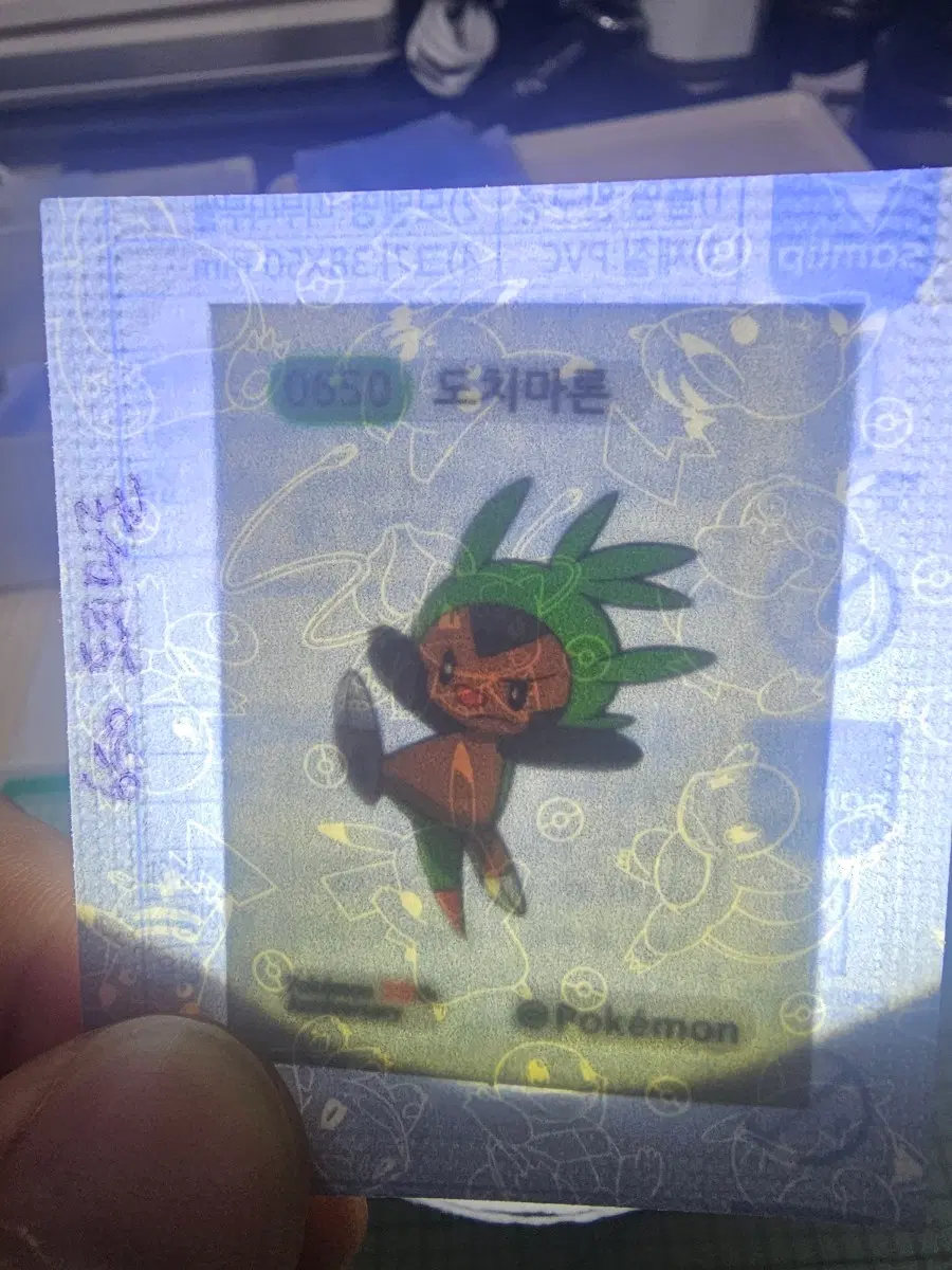 5시즌 도치마론 팝니다