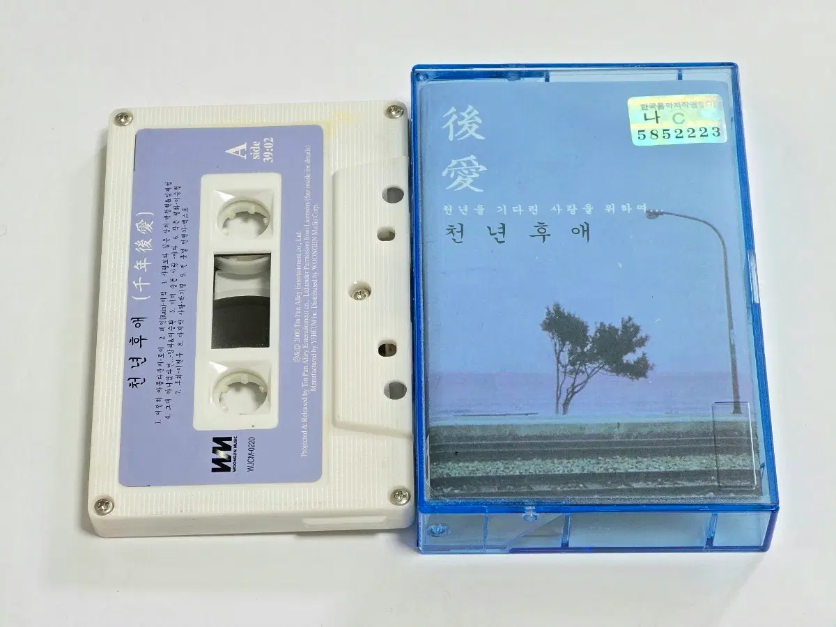 천년후애 - 천년을 기다린 사랑을 위하여 (2000년 발매)