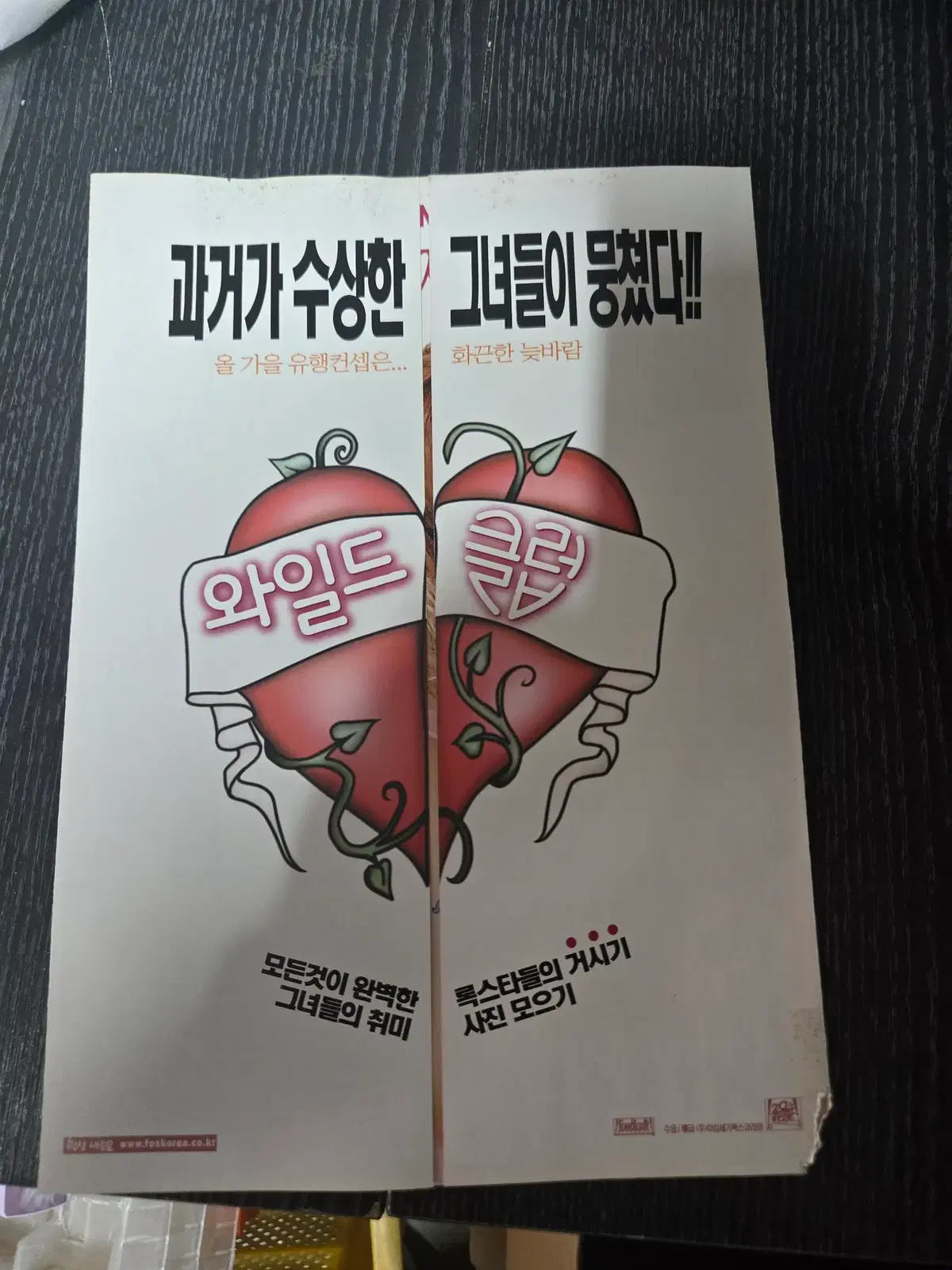 와일드클럽 / /영화전단지/영화자료/고전희귀