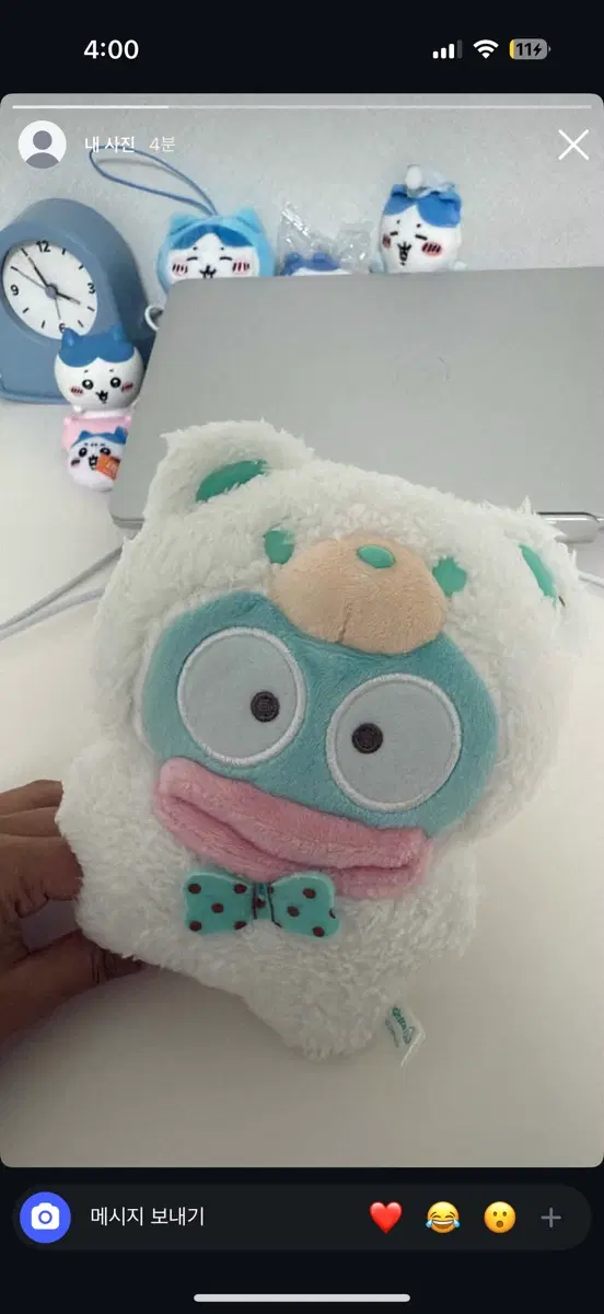 한교동 곰 코스튬 인형 팔아요