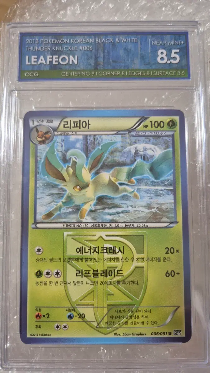 포켓몬 리피아 2013 볼트너클 ccg8.5등급