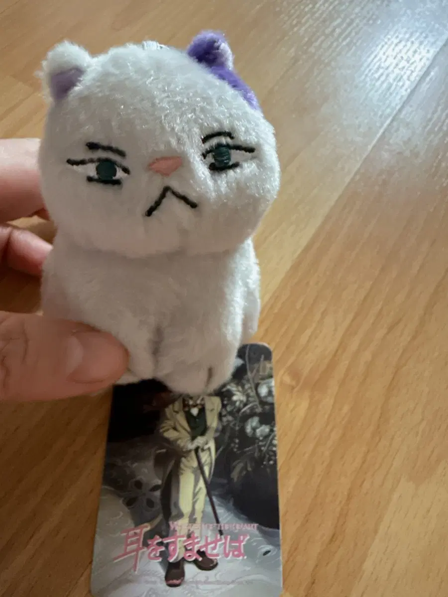 새상품 지브리정품 귀를 기울이면 문 고양이 인형