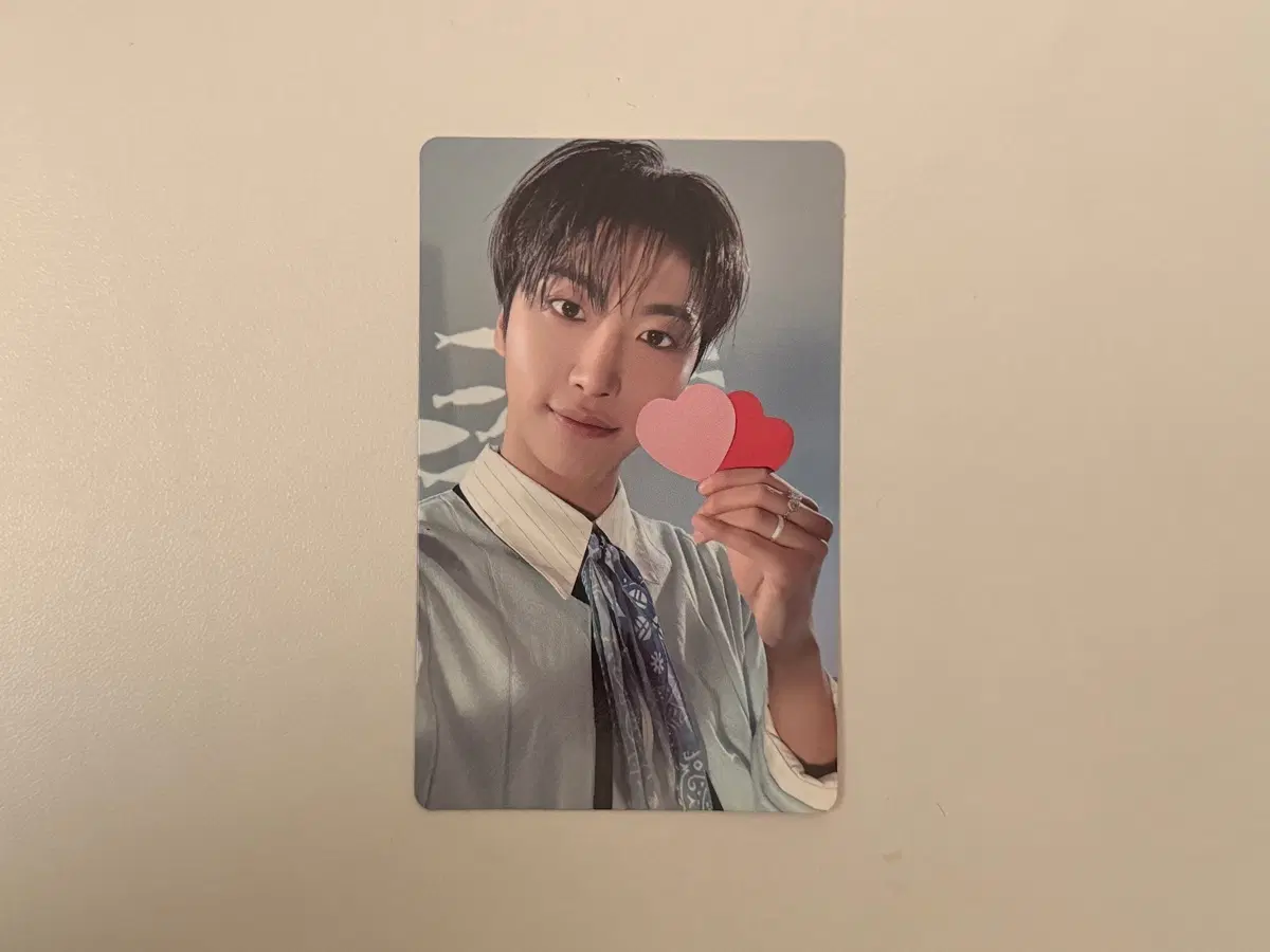 에이티즈 8주년 BLUE DRIFT 전시회 plush sea collection 성화 seonghwa 인형 포카 포토카드 photocard pc