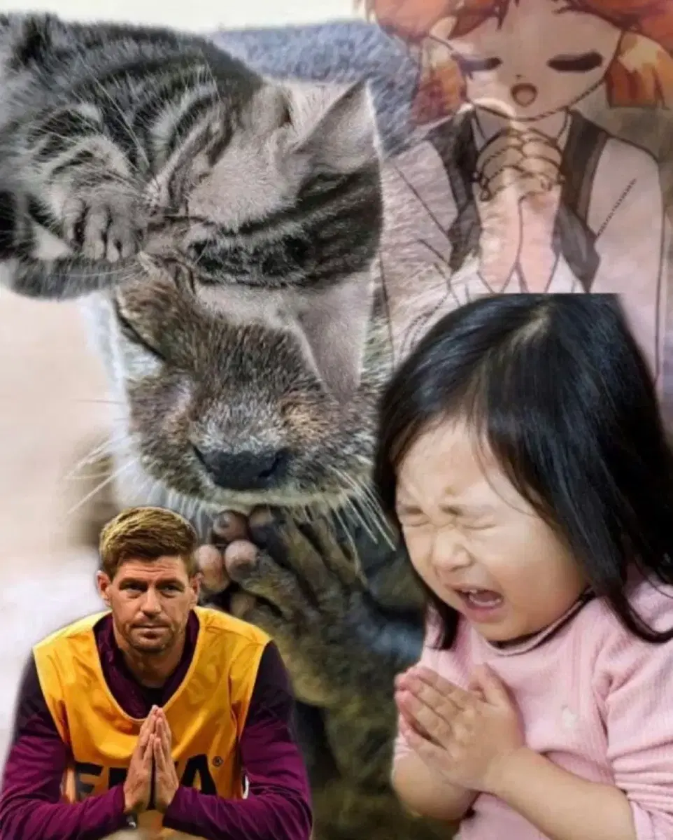 2027 법규 퍼시픽 개념서 pdf구해요