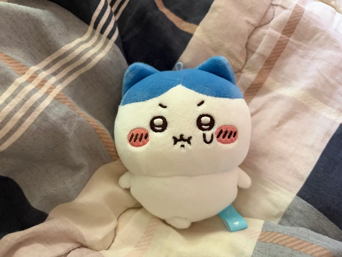 뿡하치 마스코트 팝니다