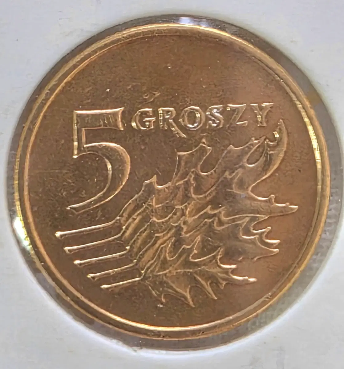 폴란드 (10. 5. 2 GROSZY 3점) 일괄 판매. Collection.