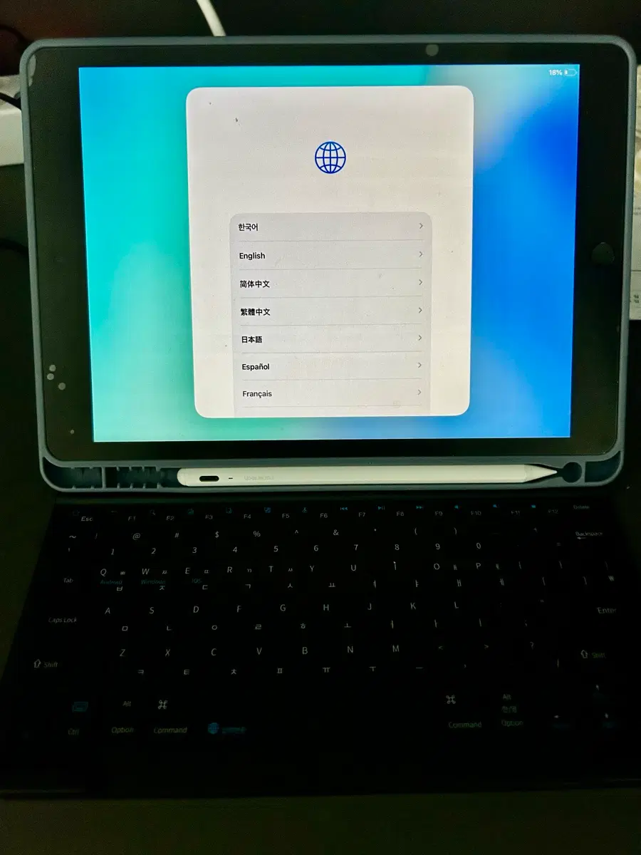 아이패드 9세대 256GB Wi-Fi + 호환 펜슬 + 키보드