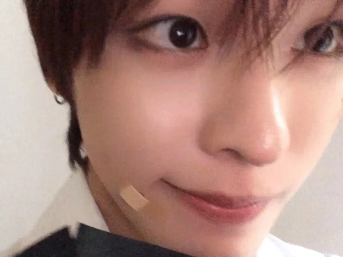 오키나와 종말론 책만 구해요 ㅠㅠㅠ