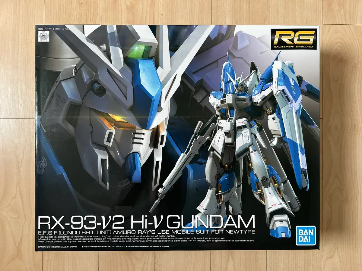 RG 하이뉴건담