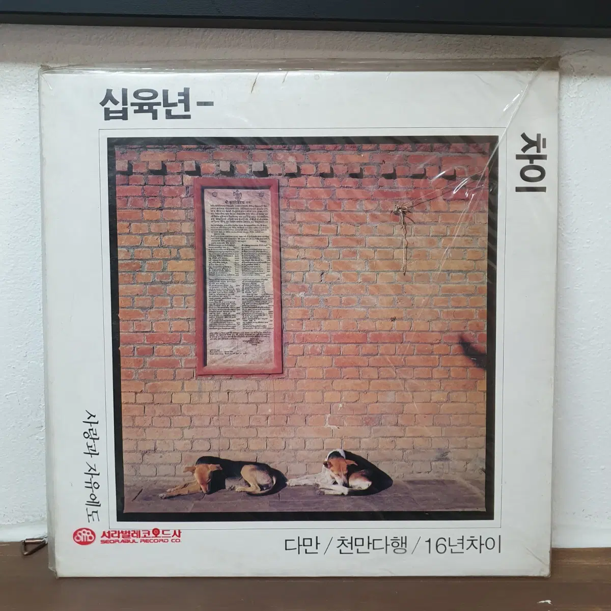 미개봉 16년차이 LP 1990