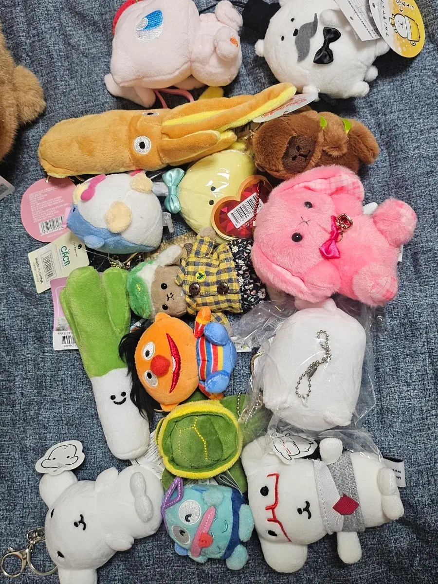 인형 일괄